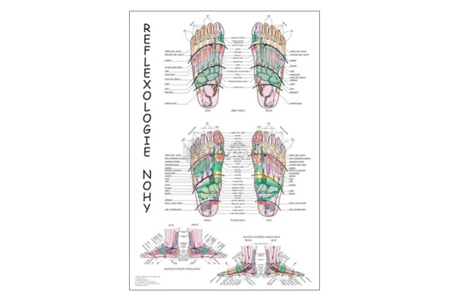 Reflexologie nohy 48x70cm #16971