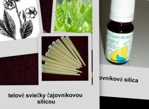 Tělové svíčky čajovníkové 5ks #1175